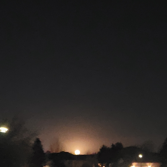 Meet your Posher, Sage - Picture 3 of 4